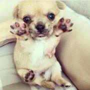 hi超级自恋男hi的个人资料头像