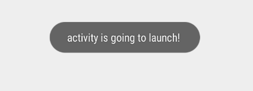 activity launch
