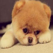 New6108的个人资料头像