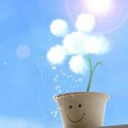 落的个人资料头像