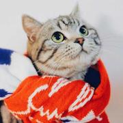 阿佳的个人资料头像