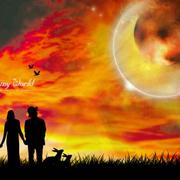 星恒的个人资料头像