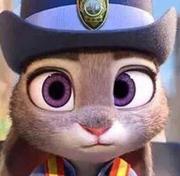 猫白的个人资料头像