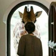 HelloWorld1474852021834的个人资料头像