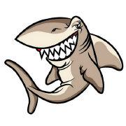 阿尔法工场的个人资料头像