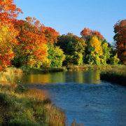 print_hello的个人资料头像