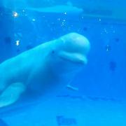 用户403874486232的个人资料头像