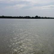 Ape11881的个人资料头像