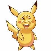 宝哥哥的个人资料头像