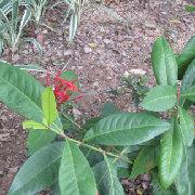 风过无痕724的个人资料头像