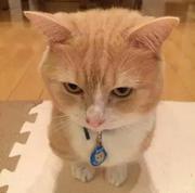 如曦的个人资料头像