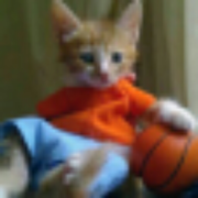 絮叨客的个人资料头像