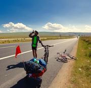 钉子石的个人资料头像