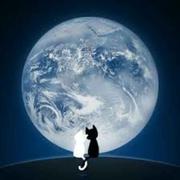 山高人为峰的个人资料头像