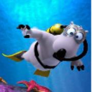 钱兆的个人资料头像