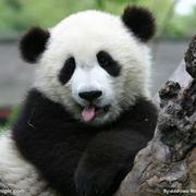 嫑嘦的个人资料头像