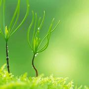 海风的天堂的个人资料头像