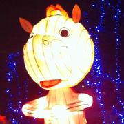 zhou1471487894000的个人资料头像