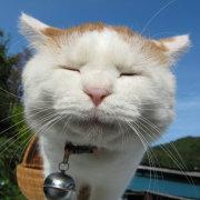 MandW的个人资料头像