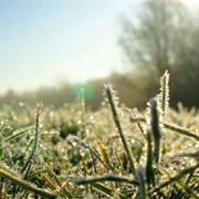 橙汁er1474966842000的个人资料头像