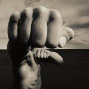 红桃海豚的个人资料头像