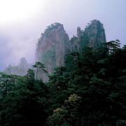 wumichu123的个人资料头像