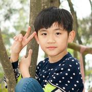 AlexZeng8291的个人资料头像