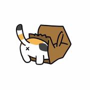 李育洋的个人资料头像