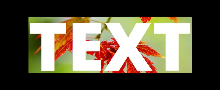 Demo 1 in Firefox and IE