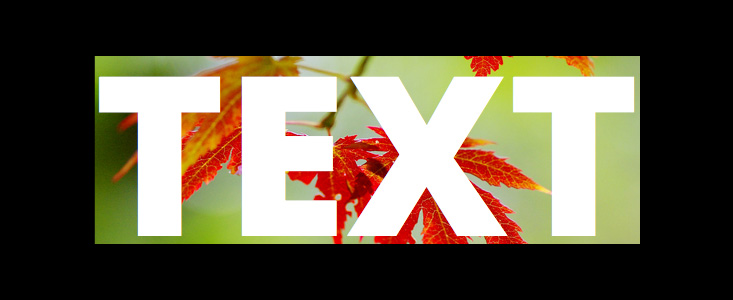 Demo 1 in Firefox and IE