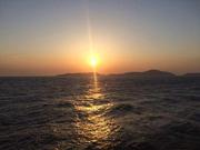 栺簡落寞的个人资料头像