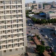 不犹豫的个人资料头像