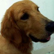 tao1471583651625的个人资料头像