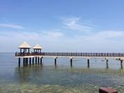 DAVID10948的个人资料头像