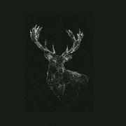 BurnsI的个人资料头像