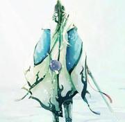 田野上的麦粒的个人资料头像