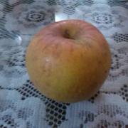 douvril的个人资料头像