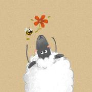 尐兀的个人资料头像