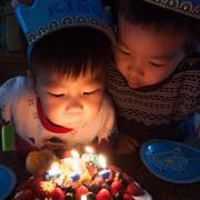 青色杜鸟的个人资料头像