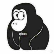 RoryHe的个人资料头像