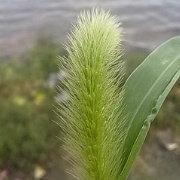 巴比伦之火的个人资料头像