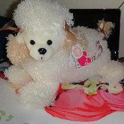 Suneyae的个人资料头像