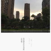 胡凤年的个人资料头像