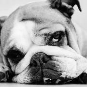 MR张12476的个人资料头像