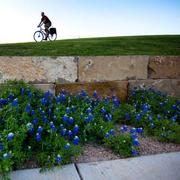 Shang5315的个人资料头像