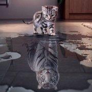 一杯白开了水的个人资料头像