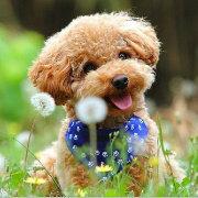 南方云胜APP开发的个人资料头像