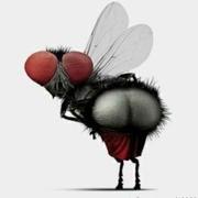 陈小明的个人资料头像