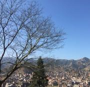 汪萌海的个人资料头像