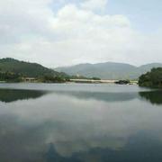 爱吃鱼的外星人的个人资料头像